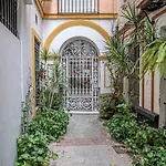 Monkeys Apartments Setas